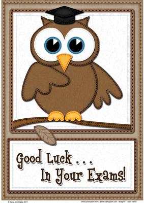 A4 Wise Owl Exam Good Luck Felties Card Topper