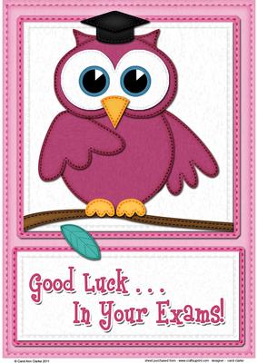 A4 Wise Owl Exam Good Luck Felties Card Topper