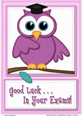 A4 Wise Owl Exam Good Luck Felties Card Topper