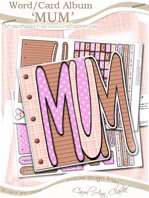 Mum Word Book Kit in Sorbet Chocolate Orange