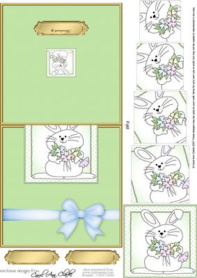 Little Bunny No-hole Over the Edge N Spiral Pyramid