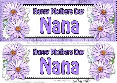 Large Dl Mothers Day Nana Daisies Floral 3D Decoupage