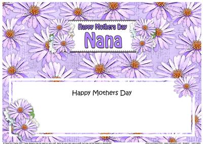 Mothers Day Nana Daisies Floral Large Dl Matching Insert