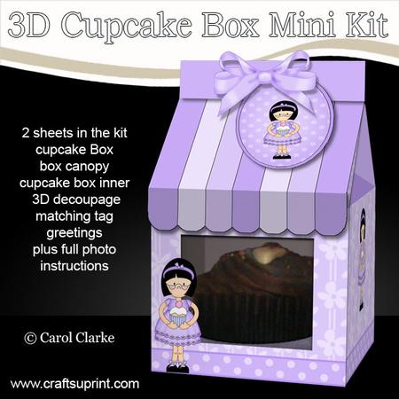 3D Girlz Roz Milk Carton Cupcake or Treat Box Mini Kit