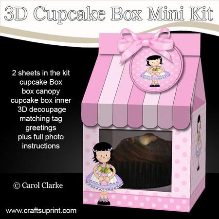 3D Girlz Roz Milk Carton Cupcake or Treat Box Mini Kit