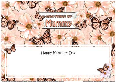 Mothers Day Mammy Floral Butterflies Large Dl Insert