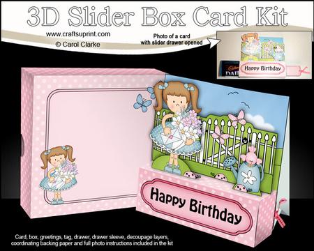 3D Girlz Liz's Flowers Slider Box Card Kit