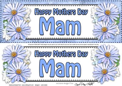 Large Dl Mothers Day Mam Daisies Floral 3D Decoupage