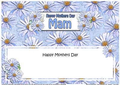 Mothers Day Mam Daisies Floral Large Dl Matching Insert