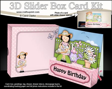 3D Girlz Suzi's Flower Basket Slider Box Card Kit