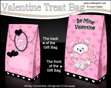 3D Teddy Tess Valentine Gift Bag Mini Kit