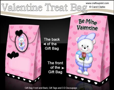 3D Teddy Ed Valentine Gift Bag Mini Kit
