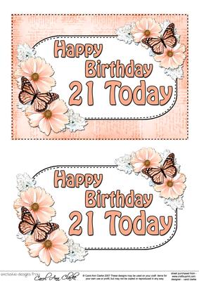 5x7 Birthday 21 Today Flowers & Butterflies Decoupage