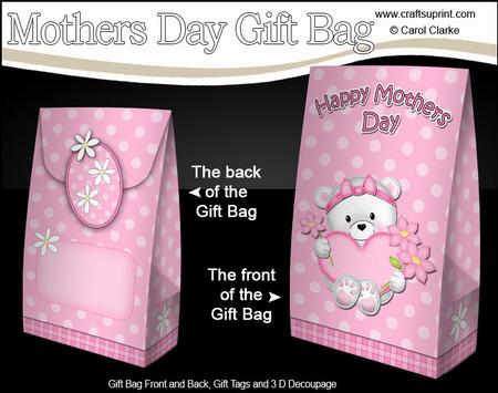 3D Teddy Tess's Heart Mothers Day Gift Bag Mini Kit