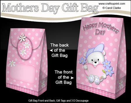 3D Teddy Ed's Heart Mothers Day Gift Bag Mini Kit