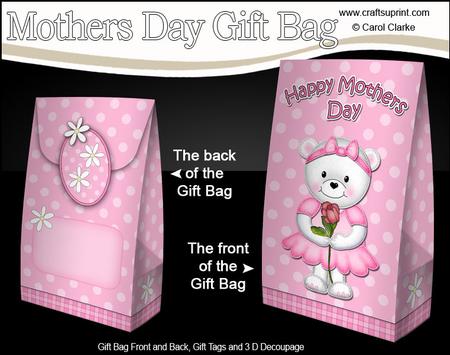 3D Teddy Tess's Rose Mothers Day Gift Bag Mini Kit