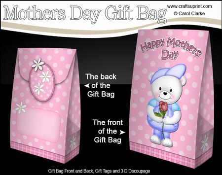 3D Teddy Ed's Rose Mothers Day Gift Bag Mini Kit