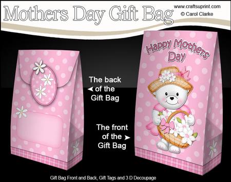 3D Teddy Tess's Flower Basket Mothers Day Gift Bag Mini Kit