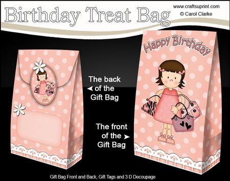 3D Girlz Suzi Goes Shopping Birthday Gift Bag Mini Kit