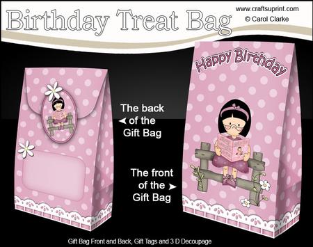 3D Girlz Roz Loves Reading Birthday Gift Bag Mini Kit