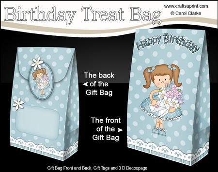 3D Girlz Liz's Flowers Birthday Gift Bag Mini Kit