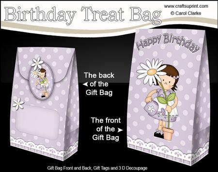 3D Girlz Suzi's Flower Birthday Gift Bag Mini Kit