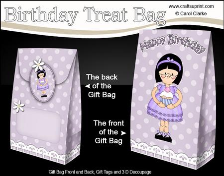 3D Girlz Roz's Cupcake Birthday Gift Bag Mini Kit