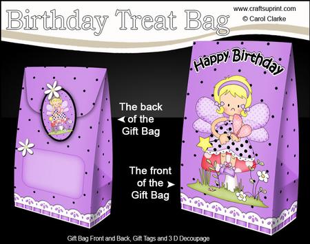 3D Girlz Fairy Fiz Birthday Gift Bag Mini Kit