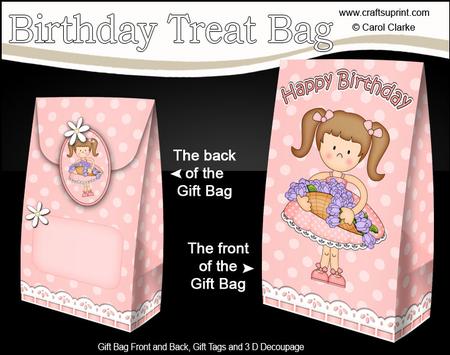3D Girlz Liz's Flower Basket Birthday Gift Bag Mini Kit