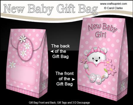 3D Teddy Tess's Heart New Baby Girl Gift Bag Mini Kit