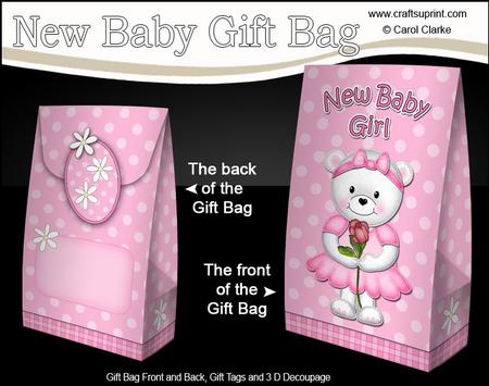 3D Teddy Tess's Rose New Baby Girl Gift Bag Mini Kit