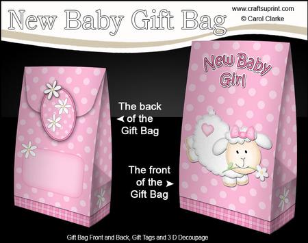 3D Little Lamb New Baby Girl Gift Bag Mini Kit