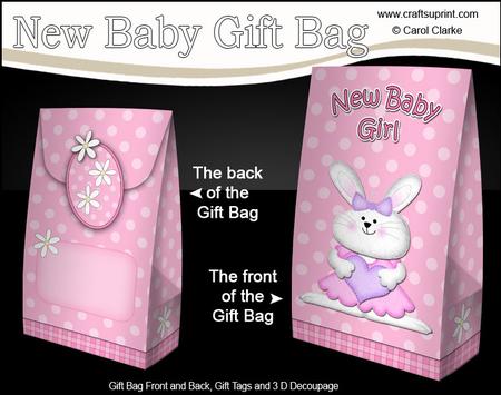 3D Little Bunny New Baby Girl Gift Bag Mini Kit