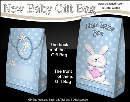 3D Little Bunny New Baby Boy Gift Bag Mini Kit