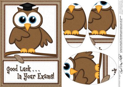 A5 Wise Owl Exam Good Luck Felties Oval Pyramage Topper