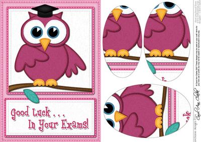 A5 Wise Owl Exam Good Luck Felties Oval Pyramage Topper