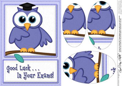 A5 Wise Owl Exam Good Luck Felties Oval Pyramage Topper