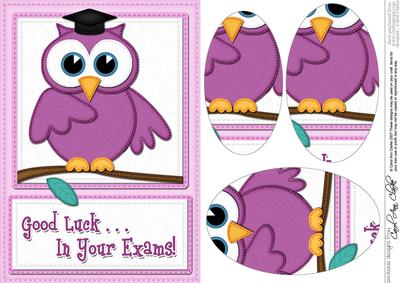 A5 Wise Owl Exam Good Luck Felties Oval Pyramage Topper