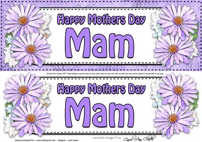 Large Dl Mothers Day Mam Daisies Floral 3D Decoupage