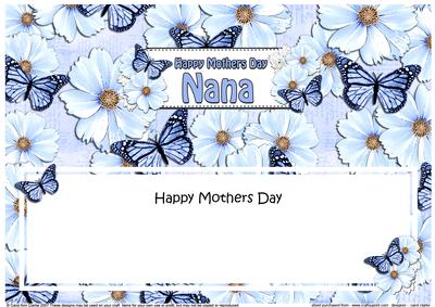 Mothers Day Nana Floral Butterflies Large Dl Insert