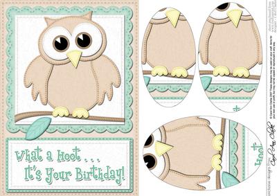 A5 What a Hoot Owl Birthday Oval Pyramage Topper