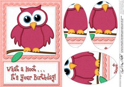 A5 What a Hoot Owl Birthday Oval Pyramage Topper