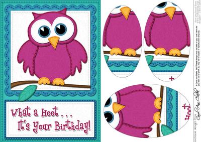 A5 What a Hoot Owl Birthday Oval Pyramage Topper