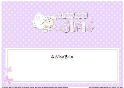 Little Lamb New Baby Girl Large Dl Insert