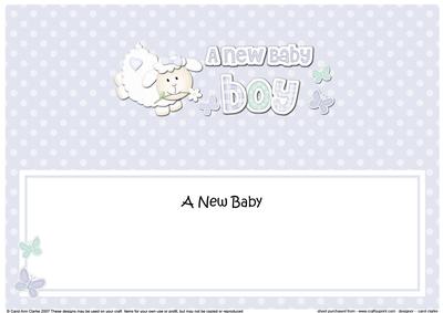 Little Lamb New Baby Boy Large Dl Insert