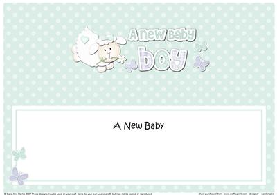 Little Lamb New Baby Boy Large Dl Insert
