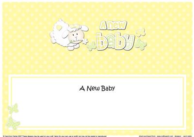 Little Lamb New Baby Large Dl Insert