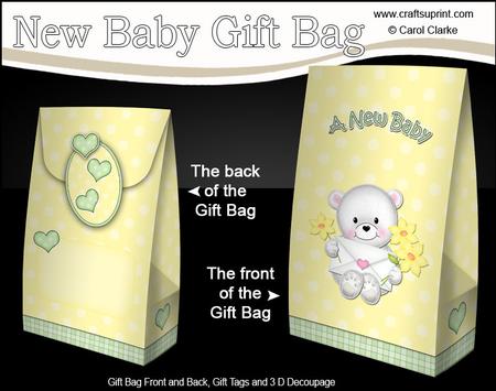 3D New Baby Teddy Gift Bag Mini Kit