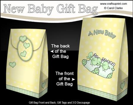 3D New Baby Bootees Gift Bag Mini Kit
