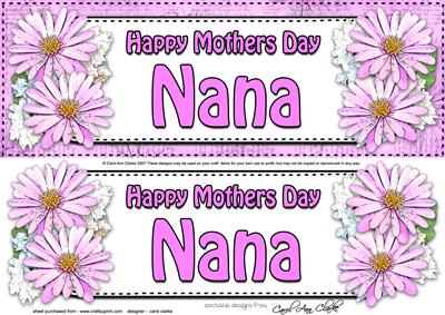 Large Dl Mothers Day Nana Daisies Floral 3D Decoupage
